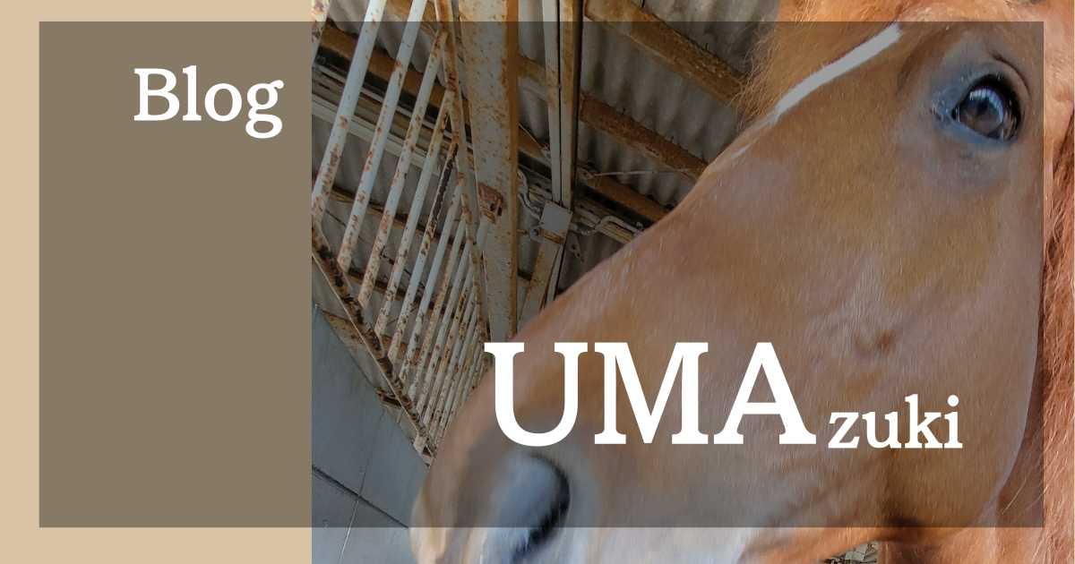 ホースマンシップと馬のこころをテーマにしたエッセイ記事のイメージ画像